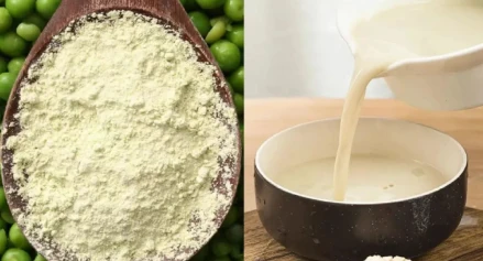 buy pea protein buy pea protein
