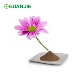 Echinacea Purpurea kivonat por