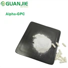 Alpha GPC ömlesztett por